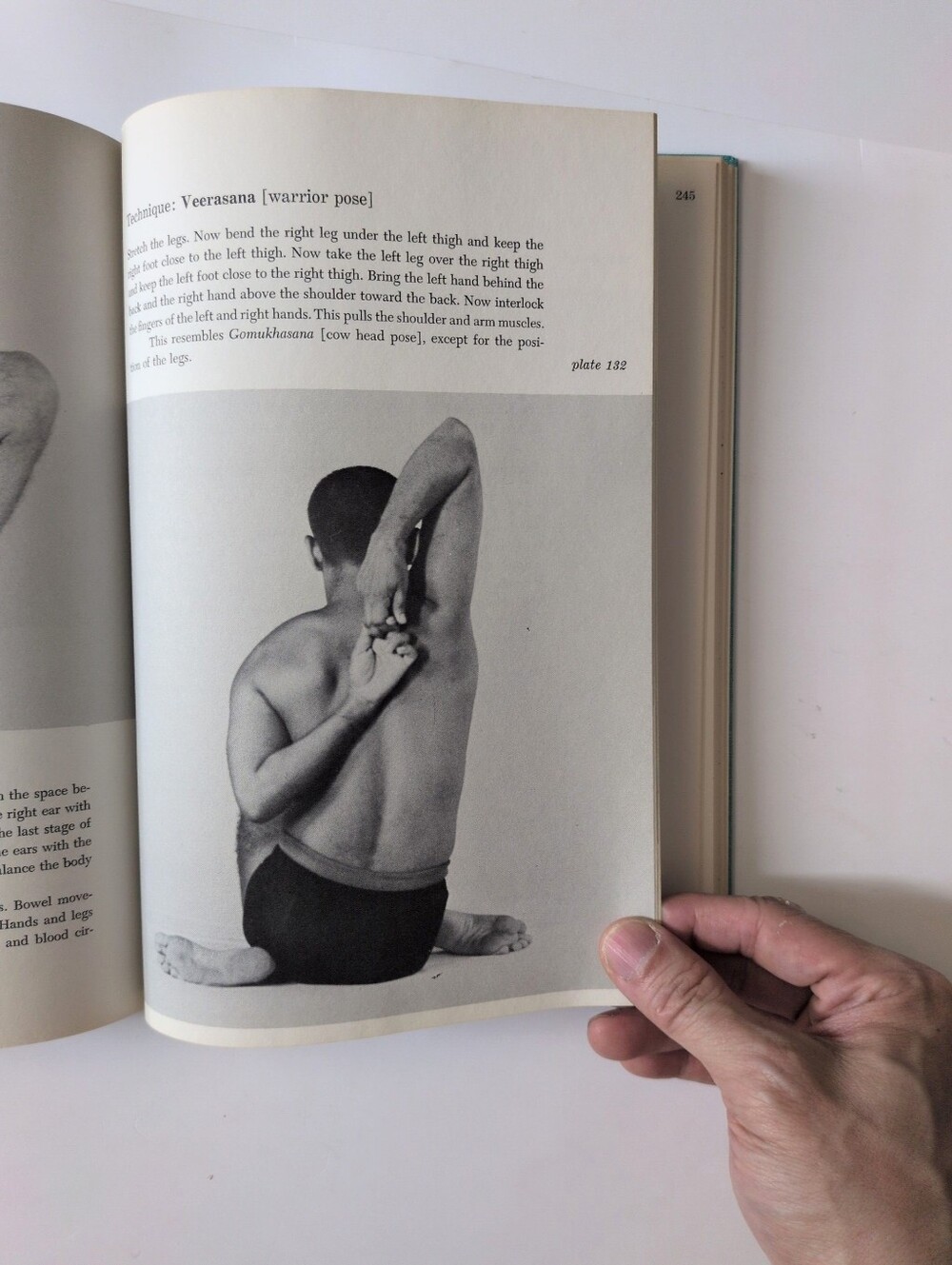The Complete Illustrated Book of Yoga - Swami Vishnudevananda - 1960 - Picture 5 of 16